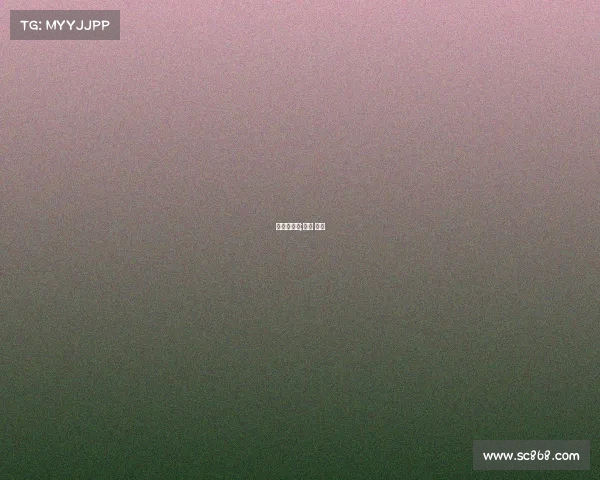 篮球赛事雷;篮球 赛事