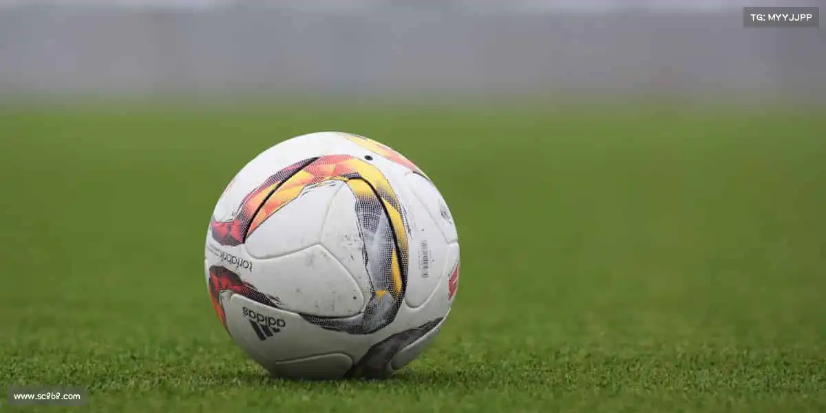 LD乐动体育——飞盘传情,快乐传递🥏